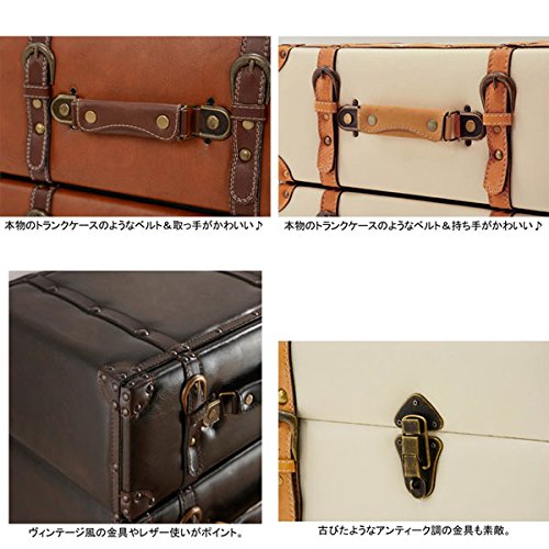 Amazon｜【直送】トランク型収納シリーズ（チェスト・5段） Aダーク